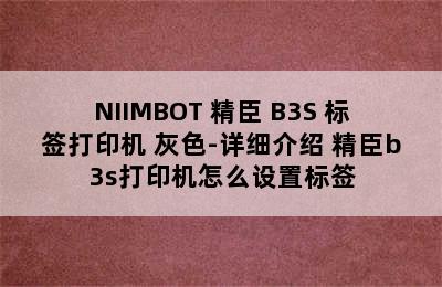 NIIMBOT 精臣 B3S 标签打印机 灰色-详细介绍 精臣b3s打印机怎么设置标签